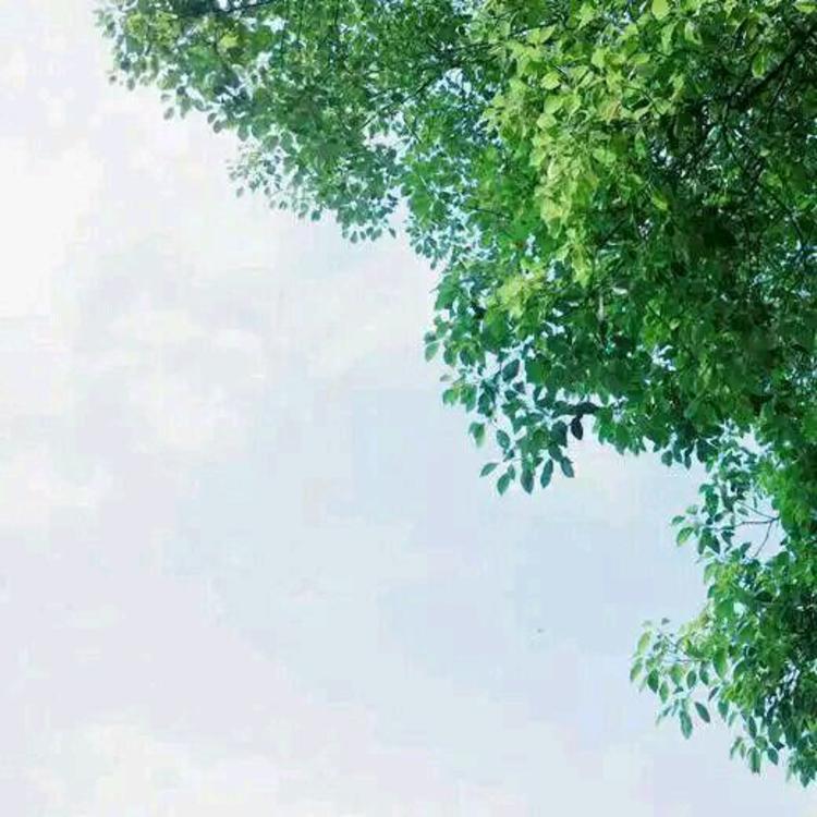 吉田俊司 - 马酷电影大全在线观看8 - 网页看电影